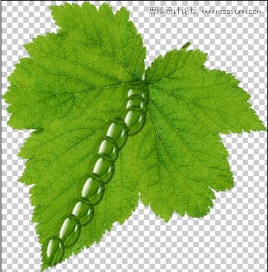 Photoshop制作在绿叶上滚动的水珠