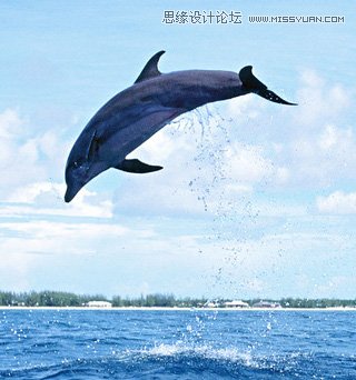 Photoshop合成唯美风格的婚纱照片