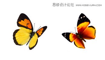 Photoshop合成唯美风格的婚纱照片