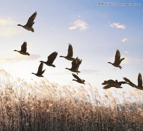 Photoshop合成唯美风格的婚纱照片