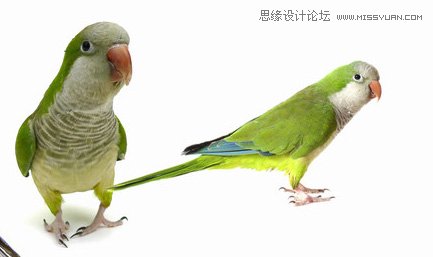 Photoshop合成唯美风格的婚纱照片