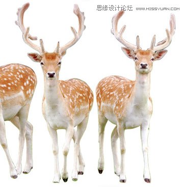 Photoshop合成唯美风格的婚纱照片