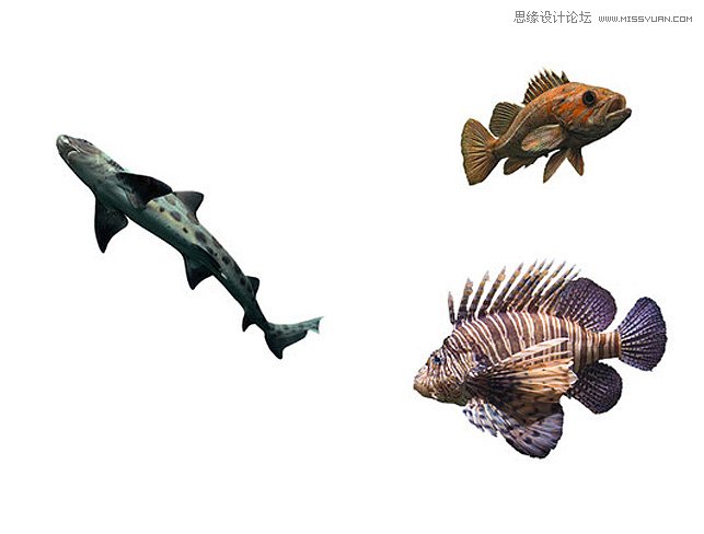 Photoshop合成水晶球里面的海洋世界