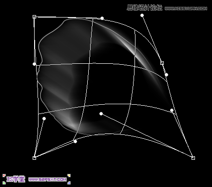 Photoshop制作梦幻光线效果的艺术花朵
