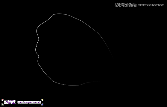 Photoshop制作梦幻光线效果的艺术花朵