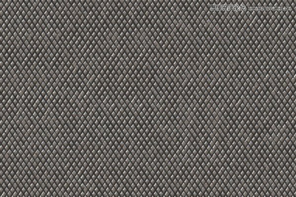 Photoshop制作蛇皮纹理金属字教程