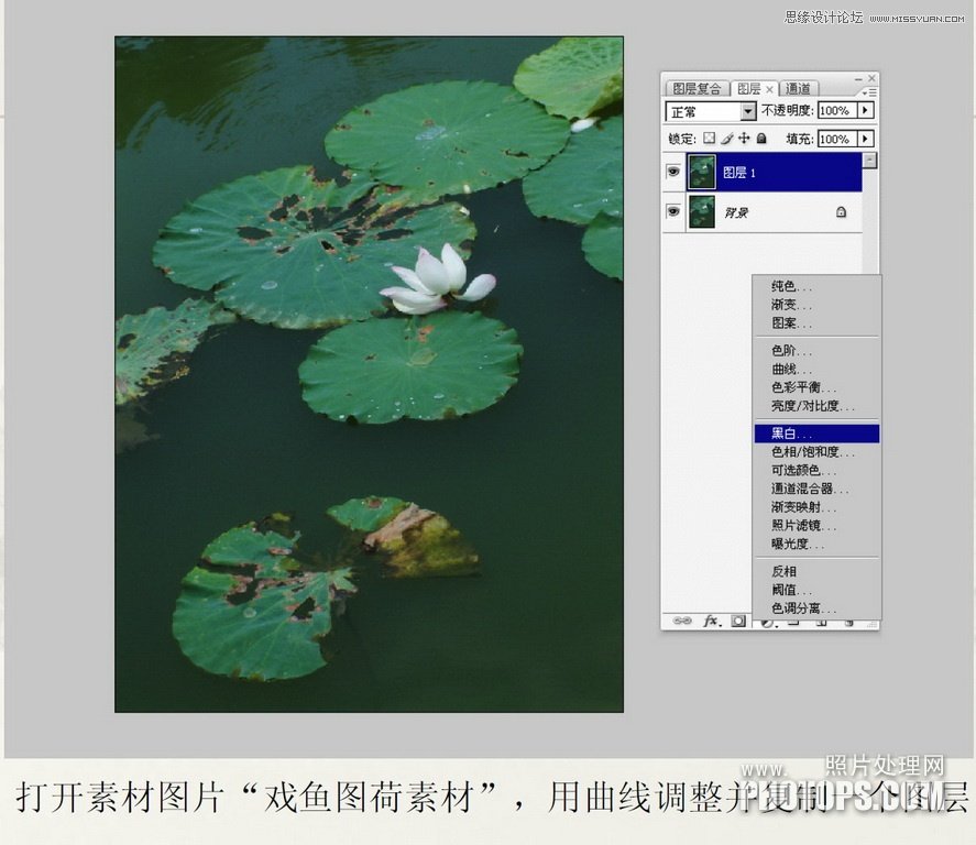 Photoshop使用废弃的荷花图制作戏鱼图封面