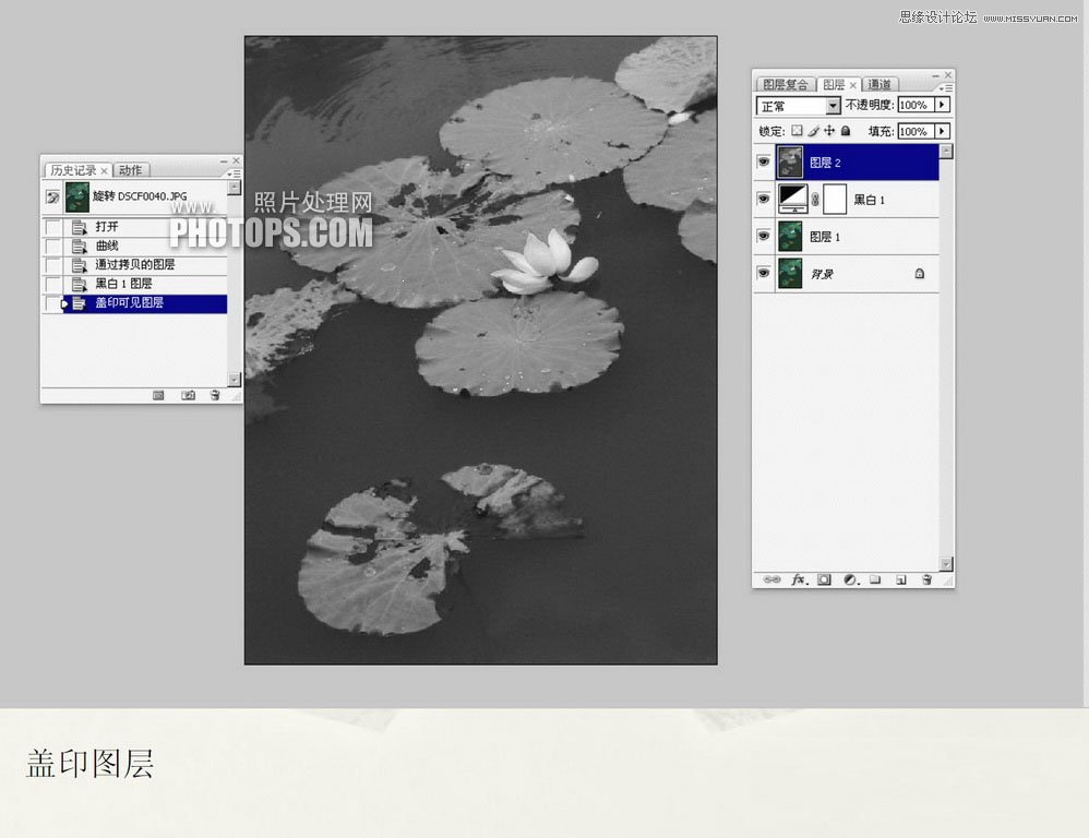 Photoshop使用废弃的荷花图制作戏鱼图封面