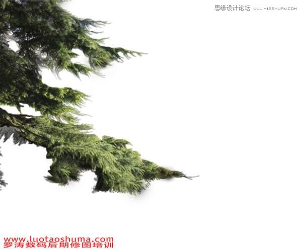 Photoshop合成梦幻幽暗丛林精灵女孩场景