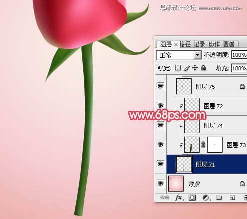 Photoshop绘制含苞欲放的鲜嫩红玫瑰