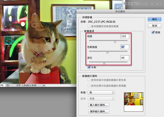 Photoshop给偏色的猫咪照片校色