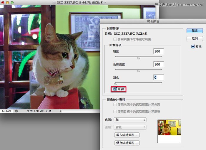 Photoshop给偏色的猫咪照片校色