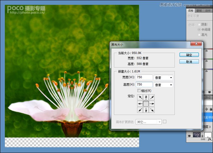Photoshop调出花朵照片唯美鲜艳色调
