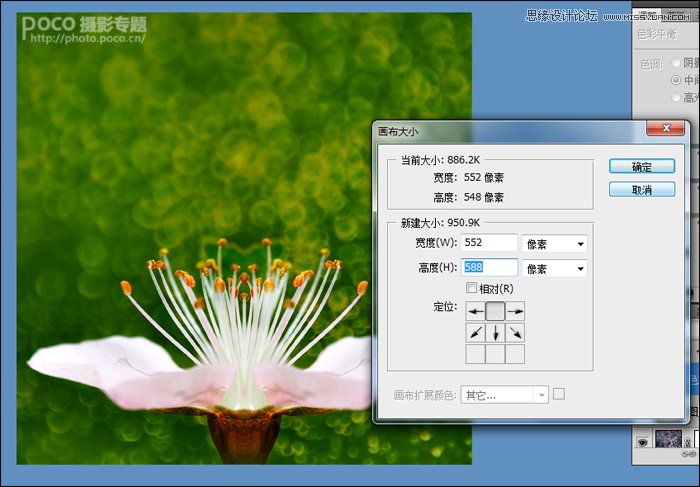 Photoshop调出花朵照片唯美鲜艳色调