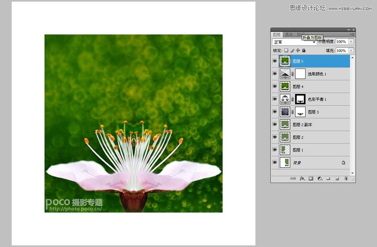 Photoshop调出花朵照片唯美鲜艳色调