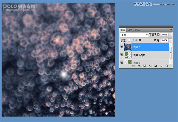 Photoshop调出花朵照片唯美鲜艳色调