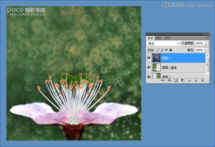 Photoshop调出花朵照片唯美鲜艳色调