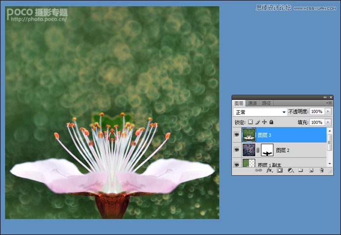 Photoshop调出花朵照片唯美鲜艳色调
