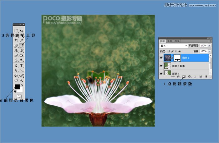Photoshop调出花朵照片唯美鲜艳色调