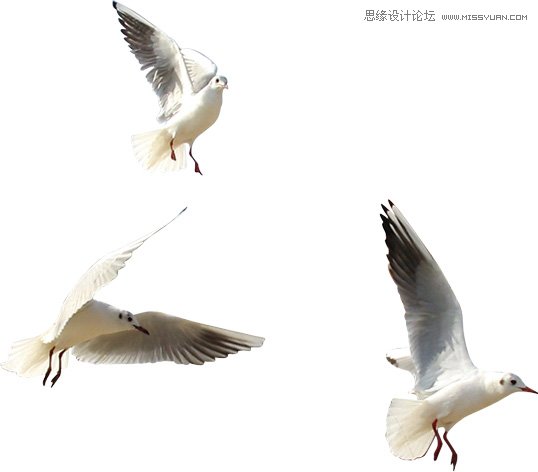 Photoshop设计江南房屋水面倒影效果