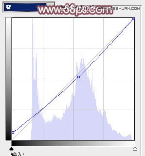 Photoshop调出清纯美女照片唯美色调