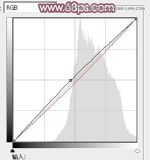 Photoshop调出清纯美女照片唯美色调