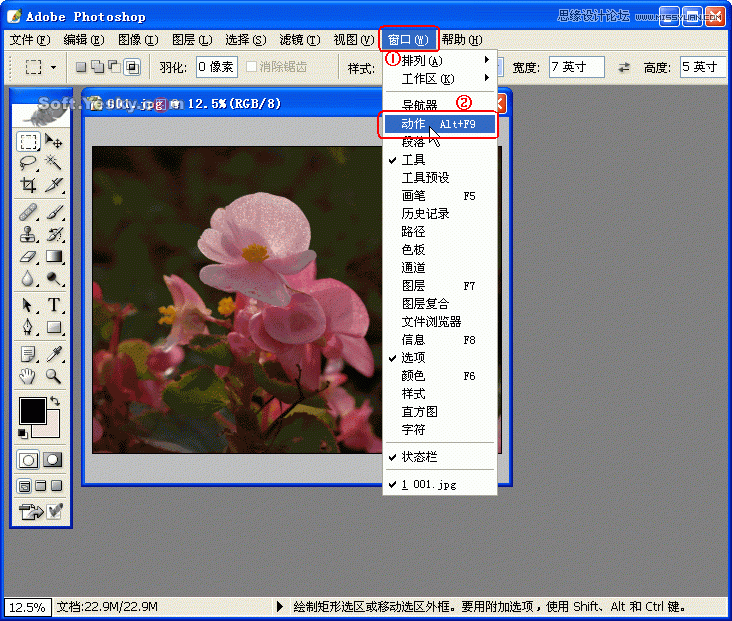 Photoshop巧用动作按比例自动批量裁剪照片