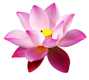 Photoshop制作动漫拼贴效果的签名教程