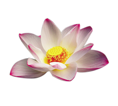 Photoshop制作动漫拼贴效果的签名教程