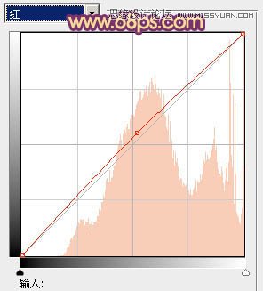 Photoshop调出公园情侣照片唯美的淡黄色调