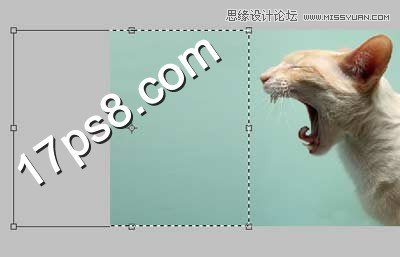 Photoshop合成生化异形喷火猫教程