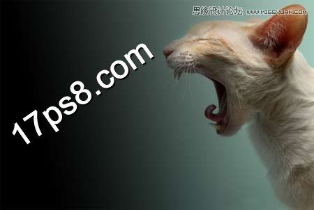 Photoshop合成生化异形喷火猫教程