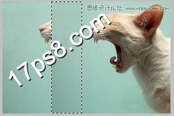 Photoshop合成生化异形喷火猫教程