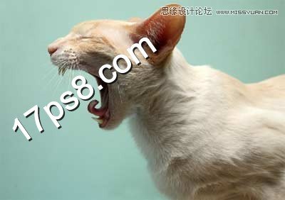 Photoshop合成生化异形喷火猫教程