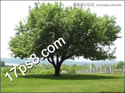 Photoshop使用素材合成云彩下海边孤树