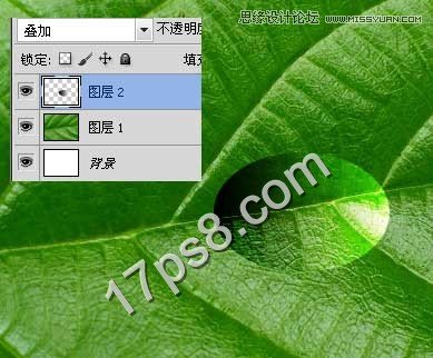 Photoshop绘制绿叶上面的透明水滴效果