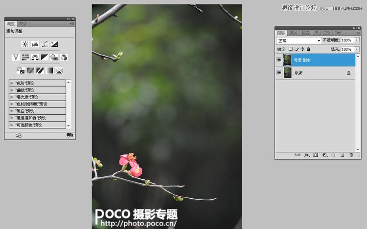 Photoshop设计绚丽的光线花枝背景效果