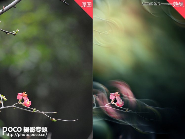 Photoshop设计绚丽的光线花枝背景效果