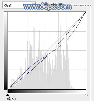 Photoshop调出国外美女图片朦胧淡蓝色调