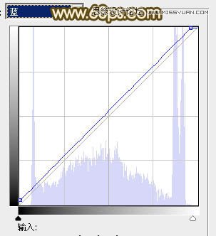 Photoshop调出性感美女淡淡的柔色效果