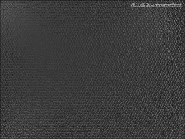 Photoshop使用滤镜制作逼真的皮革纹理