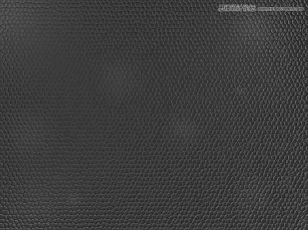 Photoshop使用滤镜制作逼真的皮革纹理