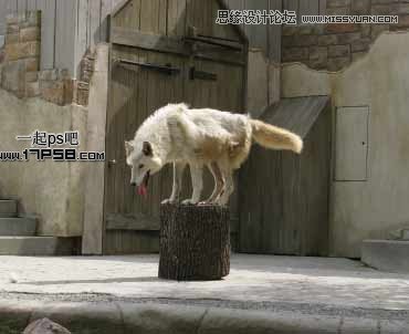 Photoshop合成雨夜闪电金刚狼场景教程