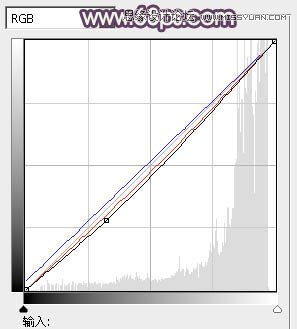 Photoshop调出美女人像淡雅的唯美色调