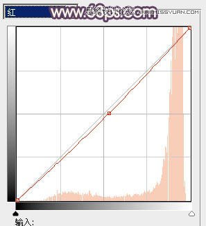 Photoshop调出美女人像淡雅的唯美色调