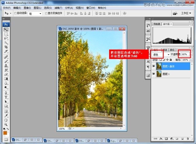 Photoshop调出风景童话秋季黄色调