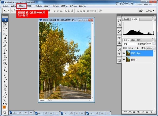 Photoshop调出风景童话秋季黄色调