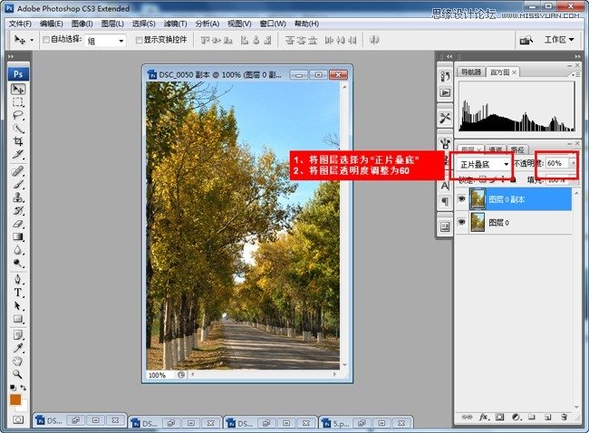 Photoshop调出风景童话秋季黄色调