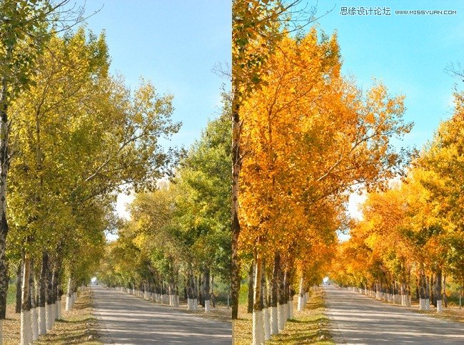 Photoshop调出风景童话秋季黄色调