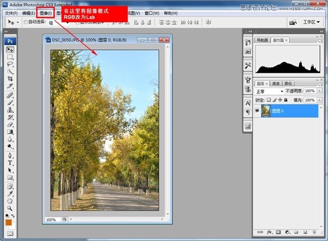 Photoshop调出风景童话秋季黄色调